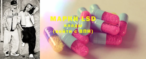 PSILOCYBIN Алзамай