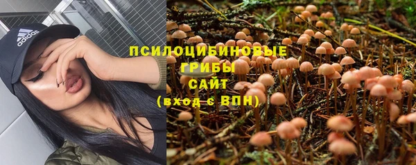 первитин Рославль