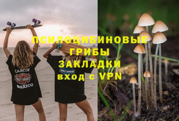 PSILOCYBIN Алзамай