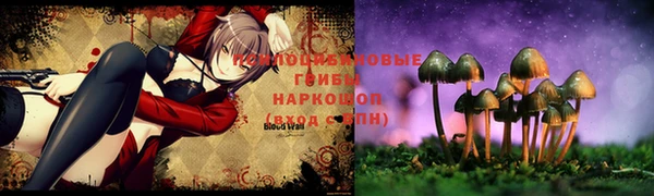 PSILOCYBIN Алзамай