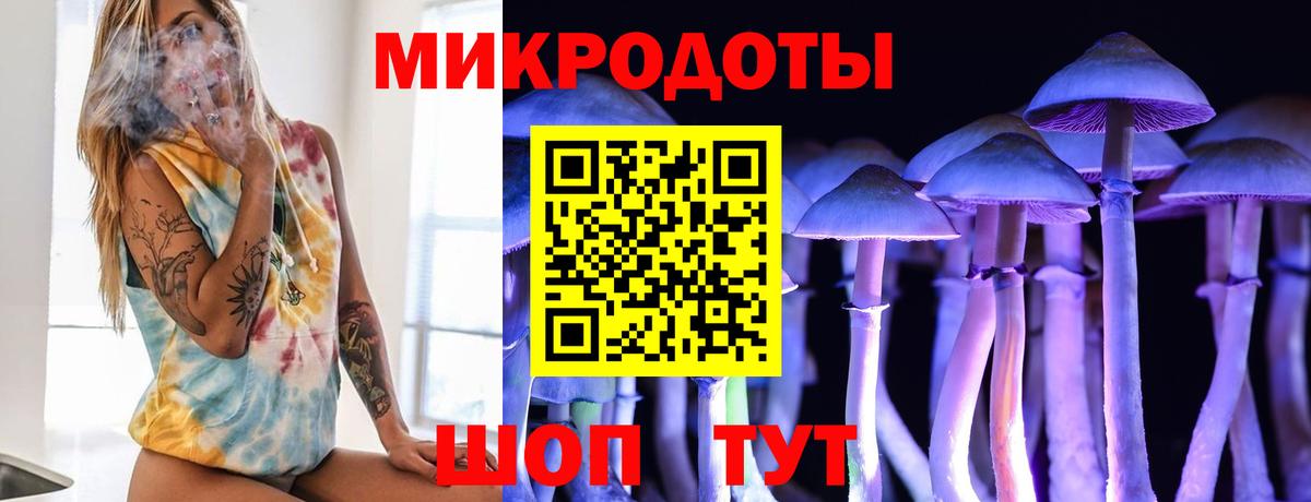 Саки  Псилоцибиновые грибы мухоморы  Вход с VPN 