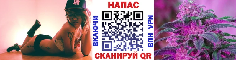 Канабис конопля  Саки 
